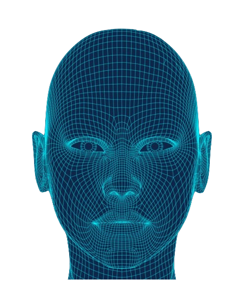 Face recognition setup